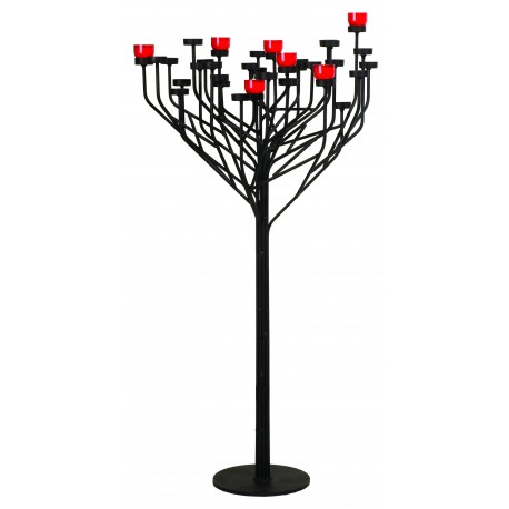 Candle-tree